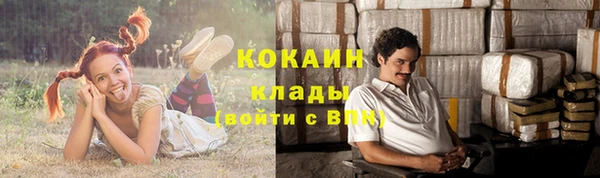 гидра Кодинск
