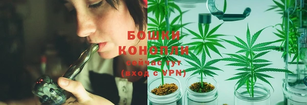 стаф Козельск