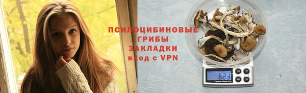стаф Козельск