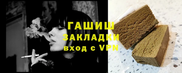 гидра Кодинск