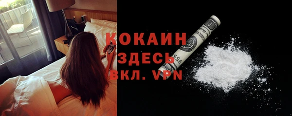 гидра Кодинск