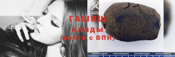 стаф Козельск