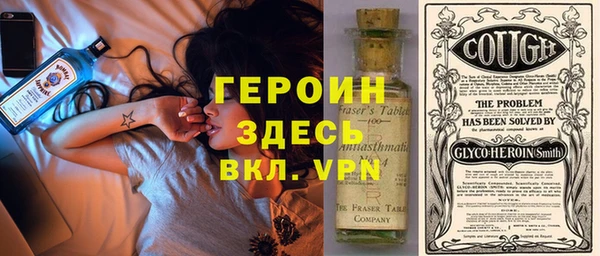 гидра Кодинск