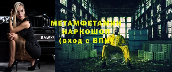 гидра Кодинск