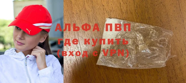 гидра Кодинск