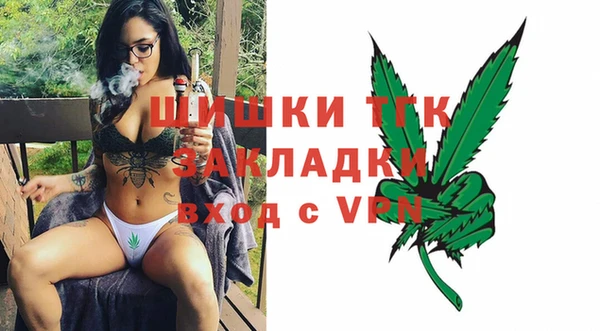 стаф Козельск