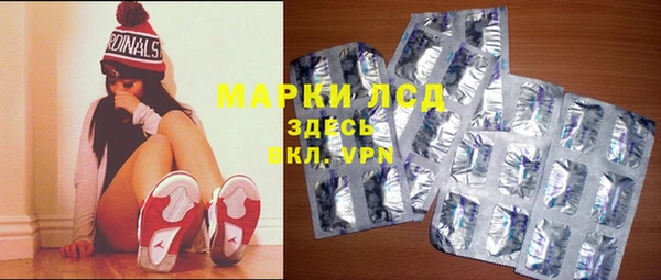 гидра Кодинск