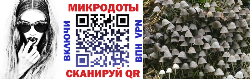 Псилоцибиновые грибы ЛСД  Купить  Белый 