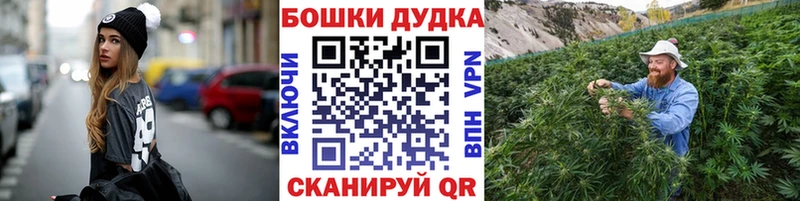 Шишки марихуана планчик  Купить где  Белый 